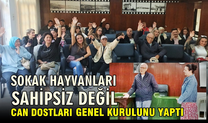 Bandırma’da Sokak Hayvanları Sahipsiz Değil