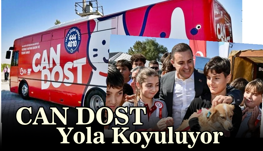 “Can Dost” Sokak Hayvanları İçin Balıkesir Yollarında
