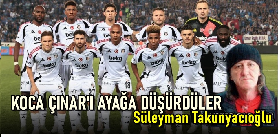 Koca Çınarı Ayağa Düşürdüler