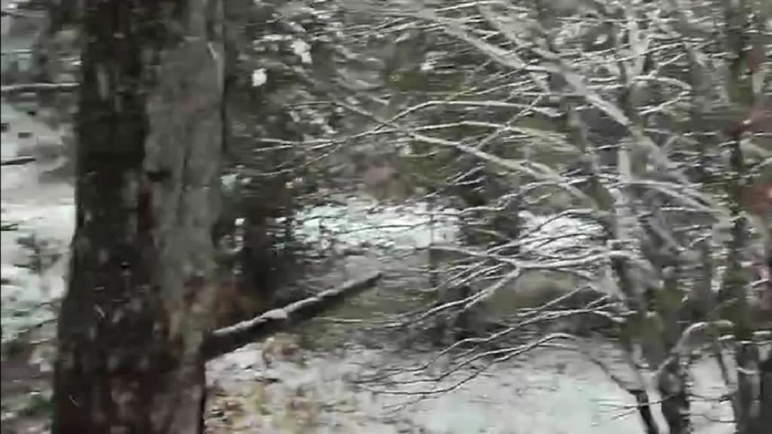 Kazdağı Milli Parkı Beyaza Büründü