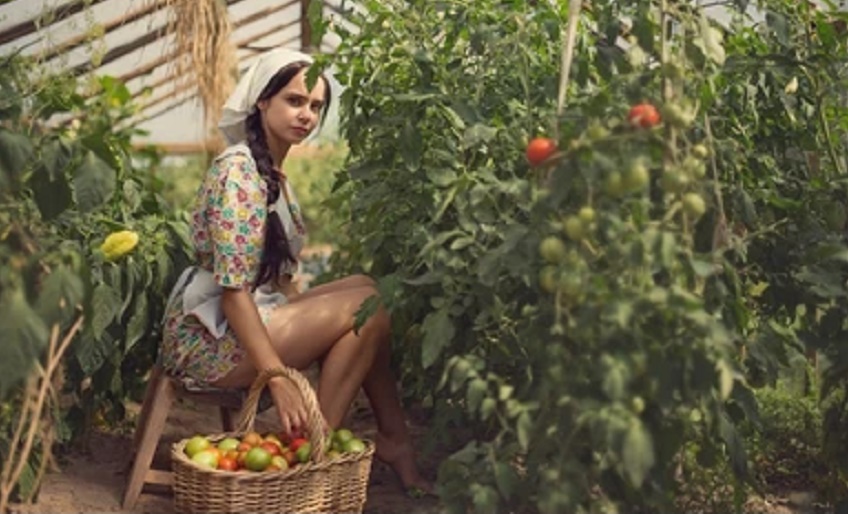 Bitkisel Üretim İstatistikleri, 2024