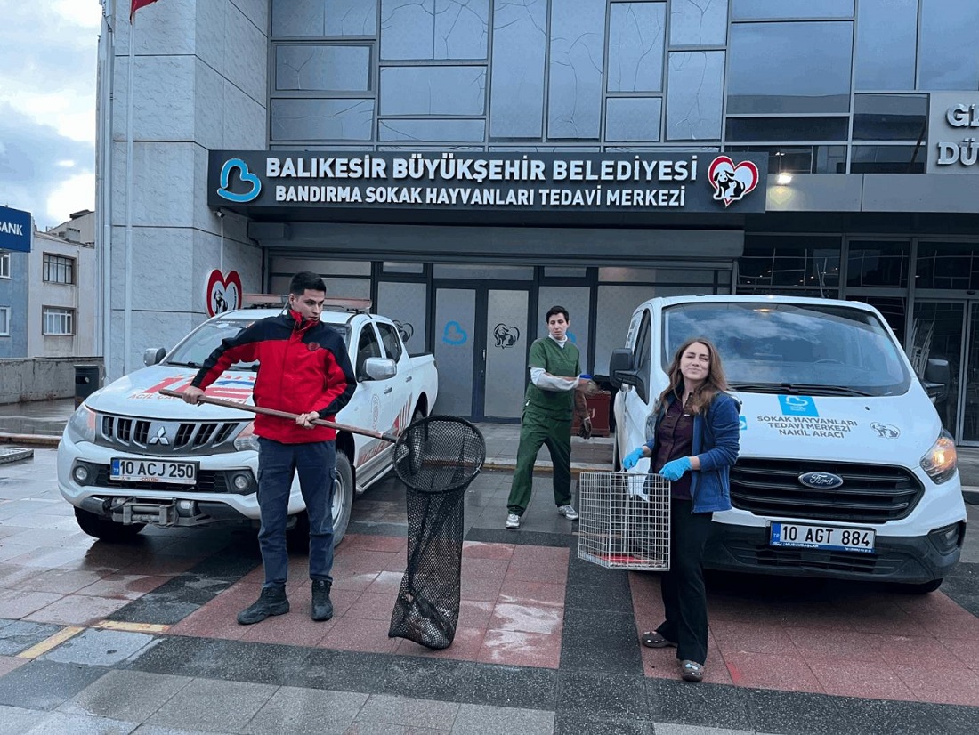 Ağaçta Mahsur Kalan Yaralı Martının İmdadına İtfaiye Yetişti