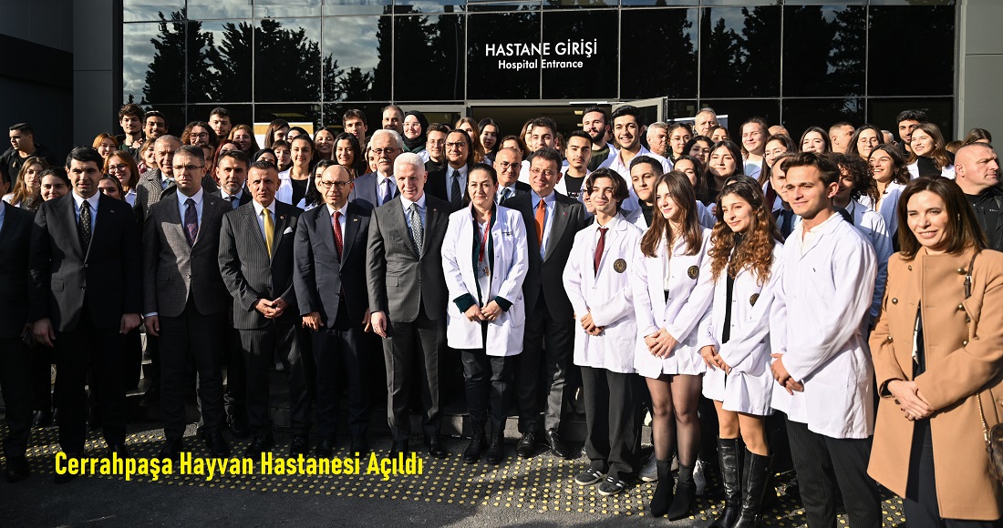 Hayvan Hastanesi İstanbul Cerrahpaşa’da Hizmete Girdi