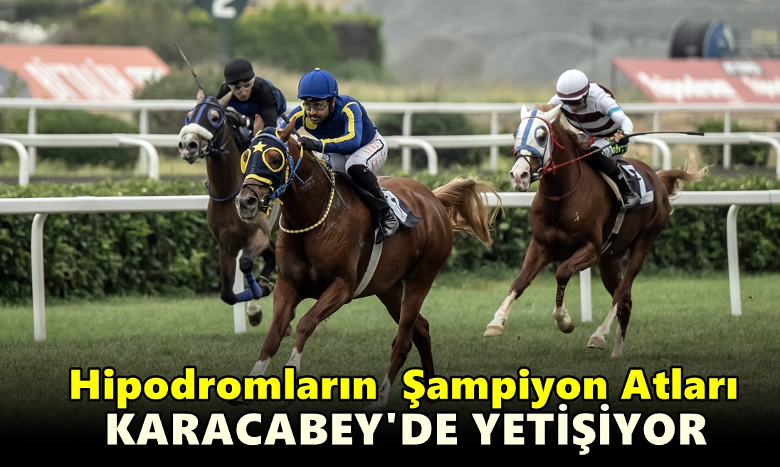 Hipodromların Şampiyon Atları Karacabey’de
