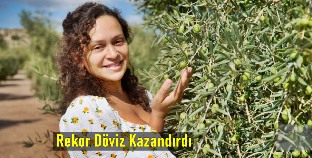 48 Ülkeye Zeytin İhracatı