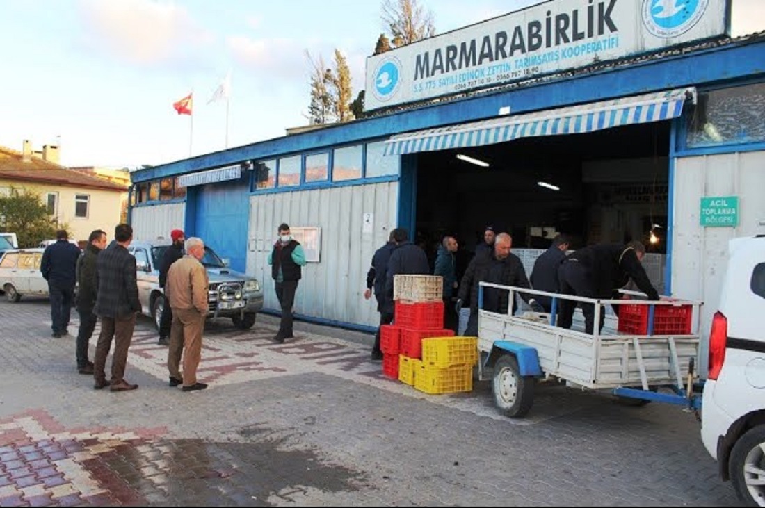 Marmarabirlik’te Ürün Alımları 24 Ocak’ta Sona Erecek