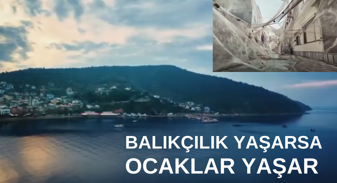 CarrefourSA “Hayalet Ağlar” Projesiyle Kıyı Balıkçılığında Farkındalığı Artırmayı Amaçlıyor