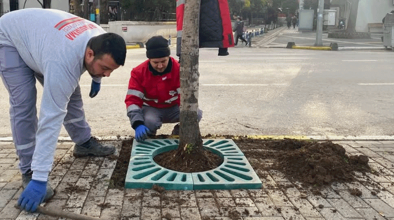 Kaldırım Ağaçları’na Çevre Dostu Mazgal