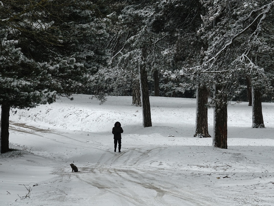 Balıkesir’in yüksek kesimlerinde kar yağışı etkili oluyor