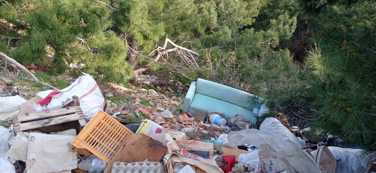 Balıkesir’de yol kenarına atılan koltuk ve çöpler çevre kirliliğine neden oldu