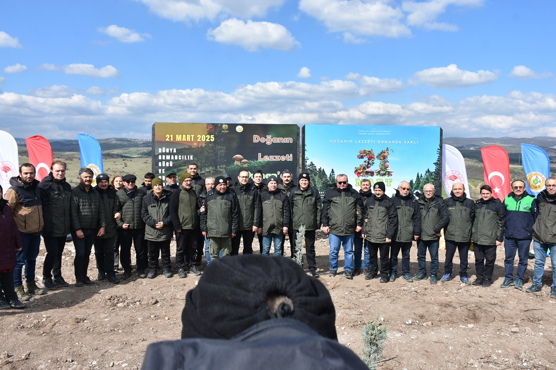 Balıkesir’de Geçen Yıl Çıkan Yangında Zarar Gören Bölgeye Fidan Dikildi