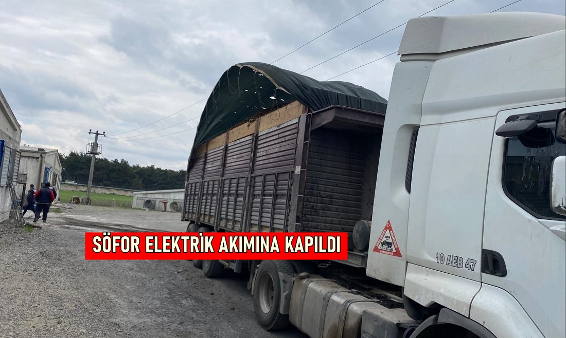 Balıkesir’de Elektrik Akımına Kapılan Tır Şoförü Öldü