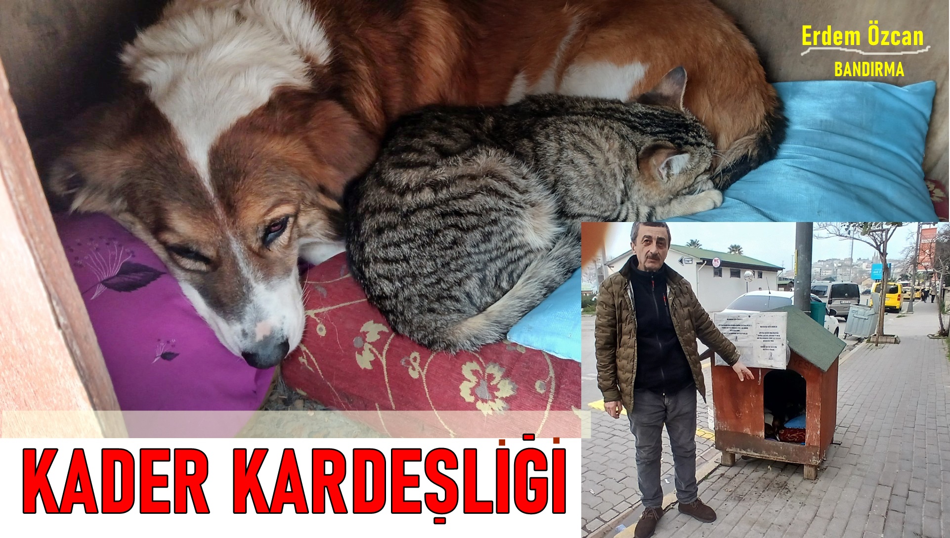 Can ile Canan’ın Kulübe Dostluğu Görenleri Şaşırtıyor