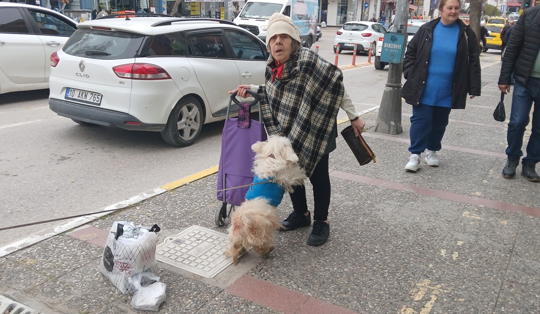 Köpeğini ağaca bağladı alışverişe gitti…