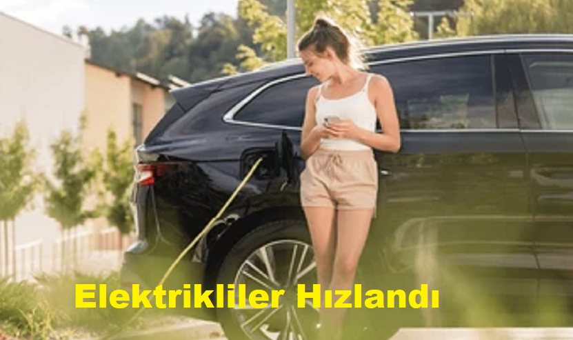 Şubat 2025 Motorlu Kara Taşıt Satışları