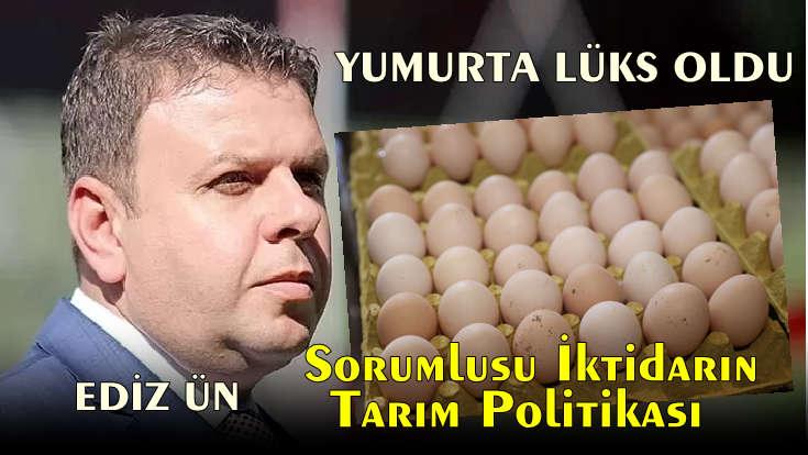 Ediz Ün: Yumurta Lüks Oldu, Sorumlusu İktidarın Tarım Politikası