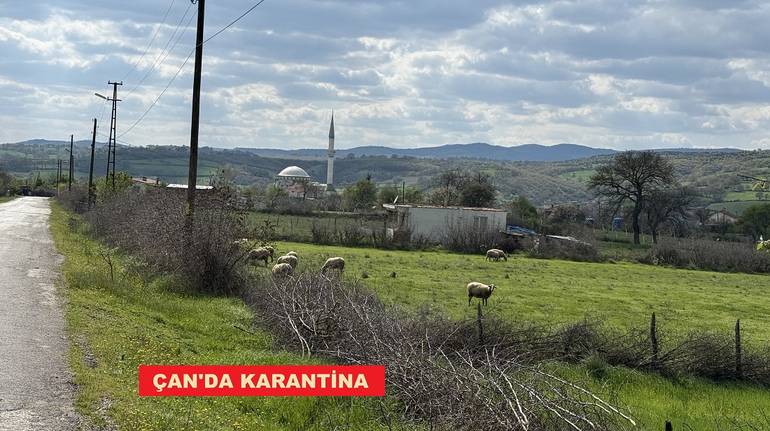 Çan’da Şap Karantinası