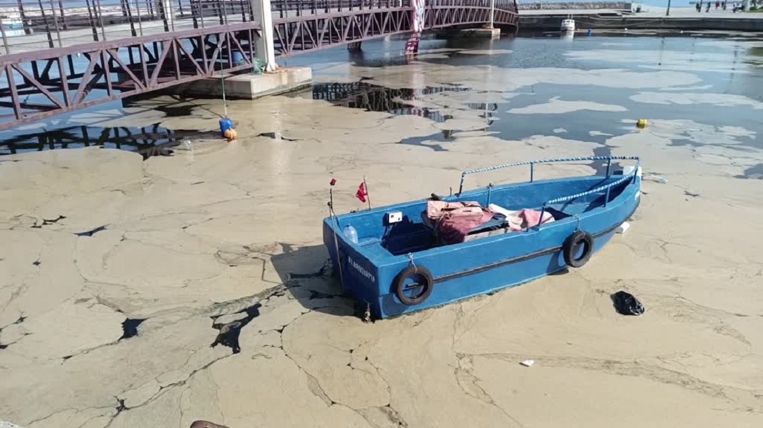 Bandırma Kıyılarında Müsilaj Görüldü