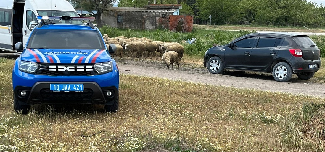 Balıkesir’de ahır yangınında 35 küçükbaş hayvan telef oldu