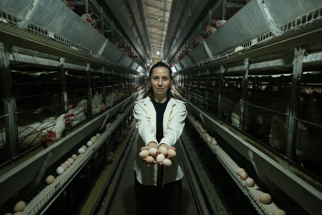 Yumurta Tavuğu Yetiştiricisi Genç Çiftçi Üretim Kalitesini Yapay Zekayla Artıracak