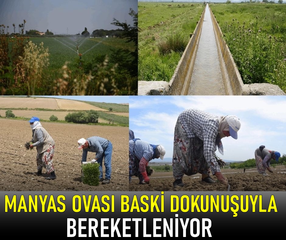 Manyas Ovası ‘nda BASKİ Bereketi