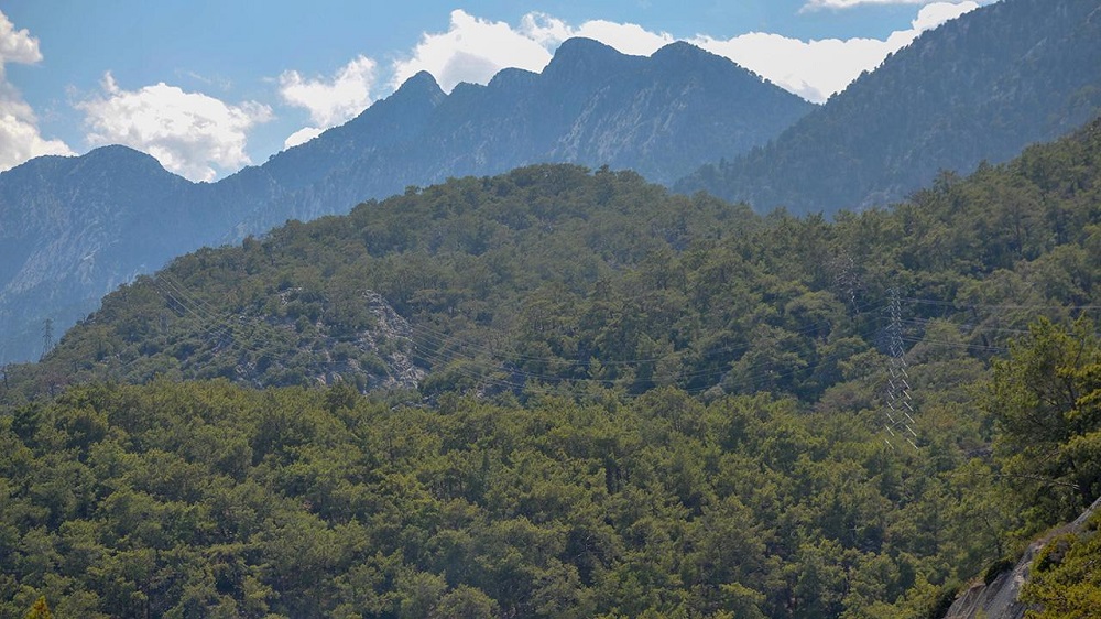 Balıkesir’de Orman Yangınlarına Karşı Yeni Yasaklar Getirildi