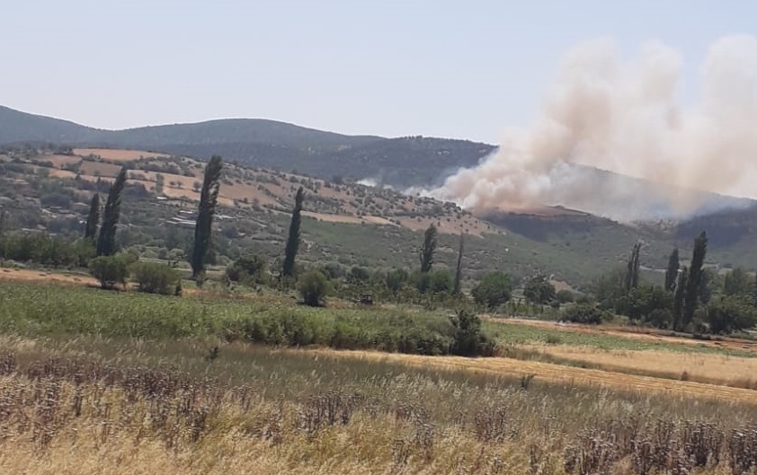 Kepsut’ta Orman Yangınına Müdahale Sürüyor