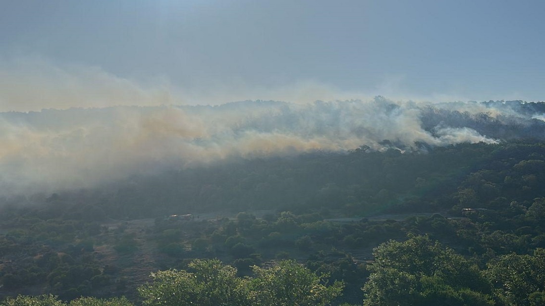 Balıkesir’de Çıkan Orman Yangını Kontrol Altına Alındı