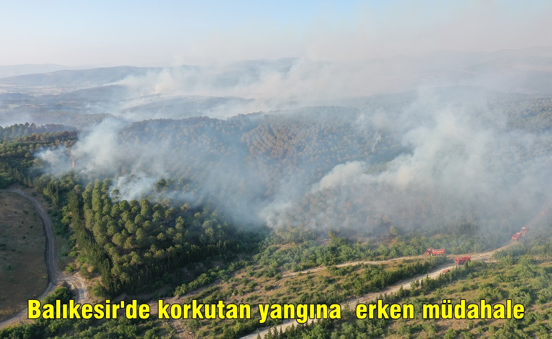 Balıkesir’de Orman Yangınları Erken Başladı. Biçerdöverlere Kısıtlama..