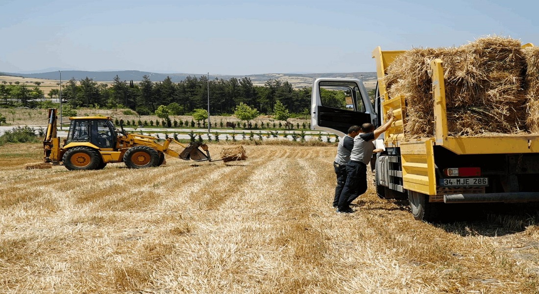 Ekiminden Biçimine Kadar Bütün Süreçler Büyükşehir’den