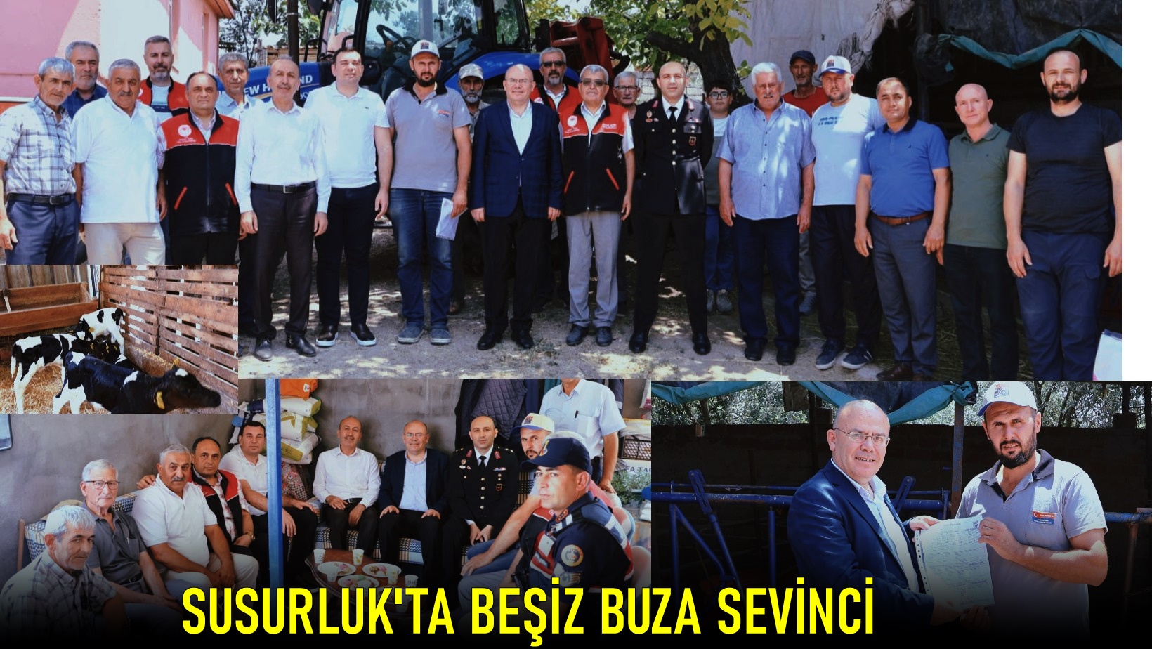 Susurluk’ta Beşiz Buzağı Sevinci