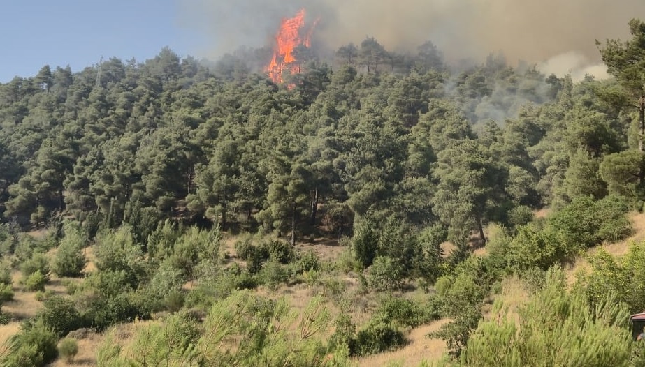 Sert Rüzgar Yangınları Körüklüyor