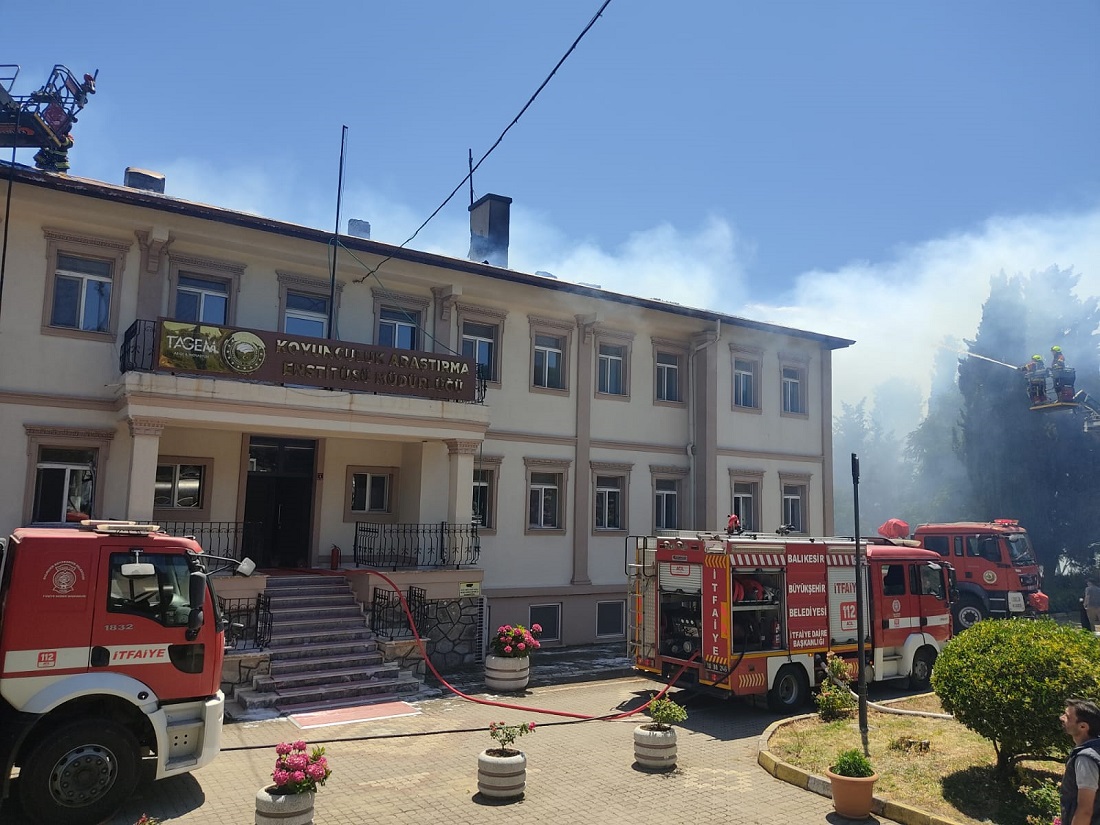 Bandırma’da Koyunculuk Araştırma Enstitüsünün Çatısında Çıkan Yangın Söndürüldü