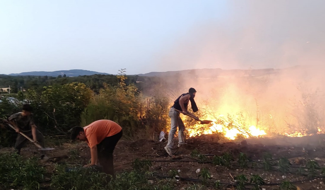 Balıkesir’de Tavuk Çiftliğinde Başlayan Yangın Ormanlık Alana Sıçradı