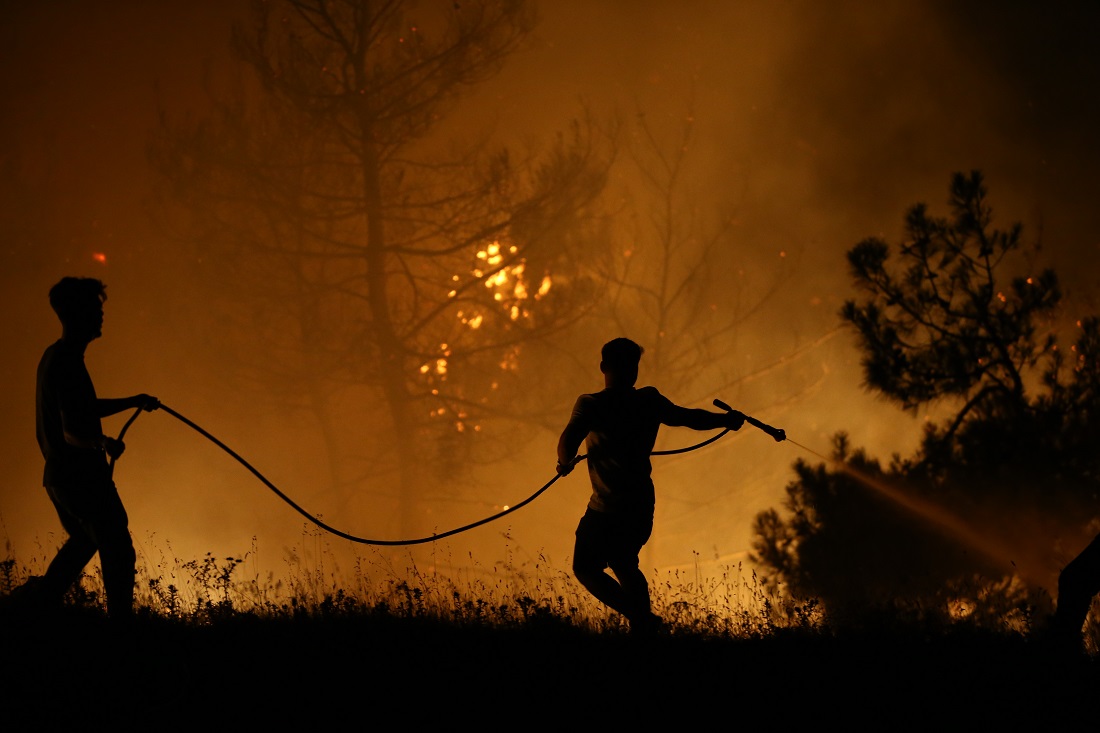 Gürsu ve Kestel Arasındaki Ormanlık Alanda Çıkan Yangına Müdahale Ediliyor 