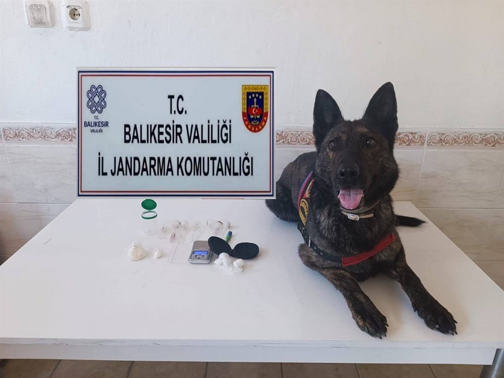 JANDARMA’DAN 9 İLÇE’DE NARKOTİK OPERASYONLARI