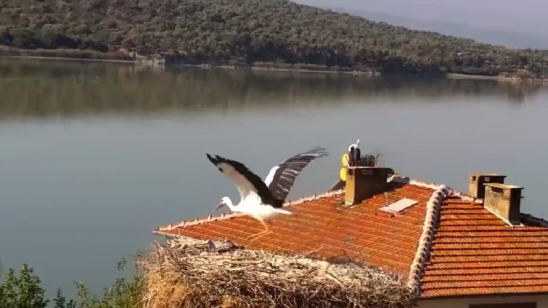 “Yaren” Leylek Göç Yolculuğuna Başladı