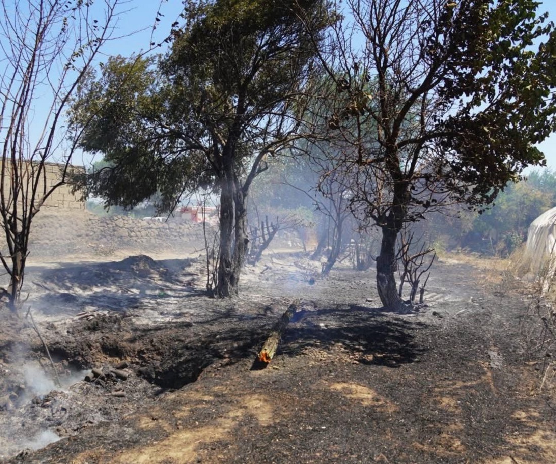 Edremit’te Çıkan Yangın Söndürüldü