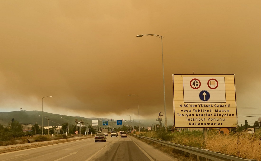 Kocaeli’deki Orman Yangınının Neden Olduğu Duman Bursa’ya Ulaştı