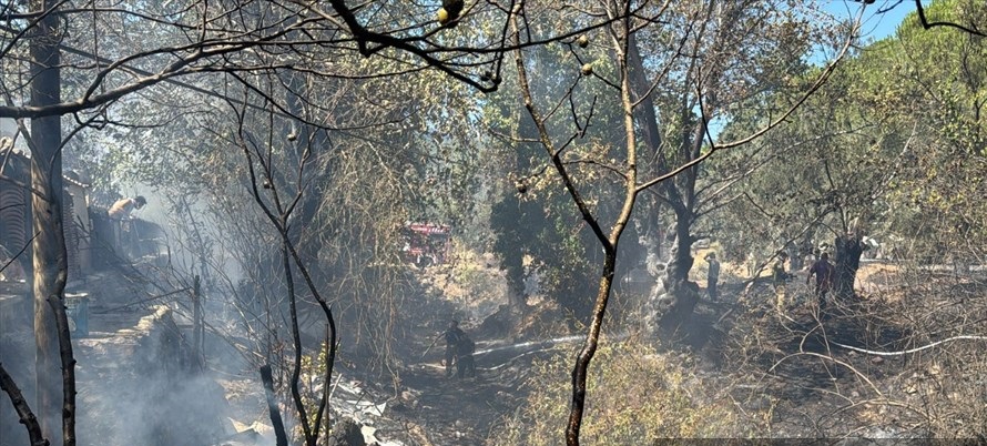 Balıkesir’de Çıkan Örtü Yangını Söndürüldü