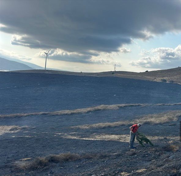 Paşalimanı Adası’ndaki Arazi Yangını Kontrol Altına Alındı