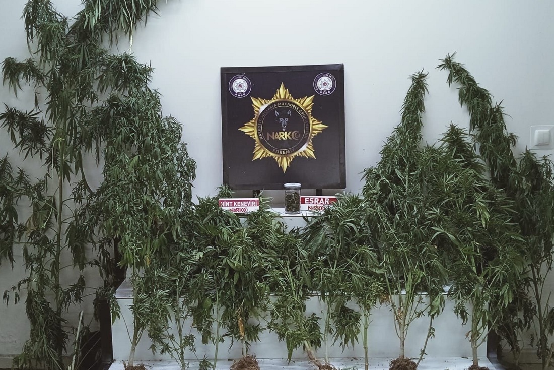 Edremit’te Uyuşturucu Operasyonu 1 Gözaltı