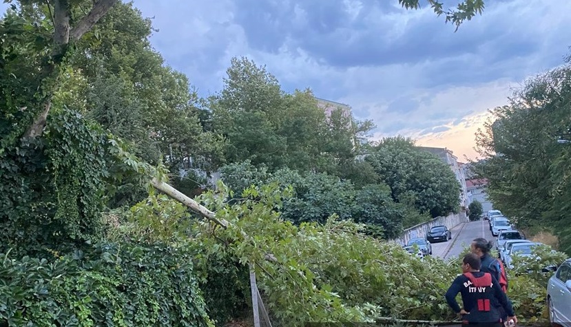 Balıkesir’de Etkili Fırtına Nedeniyle Ağaçlar Devrildi