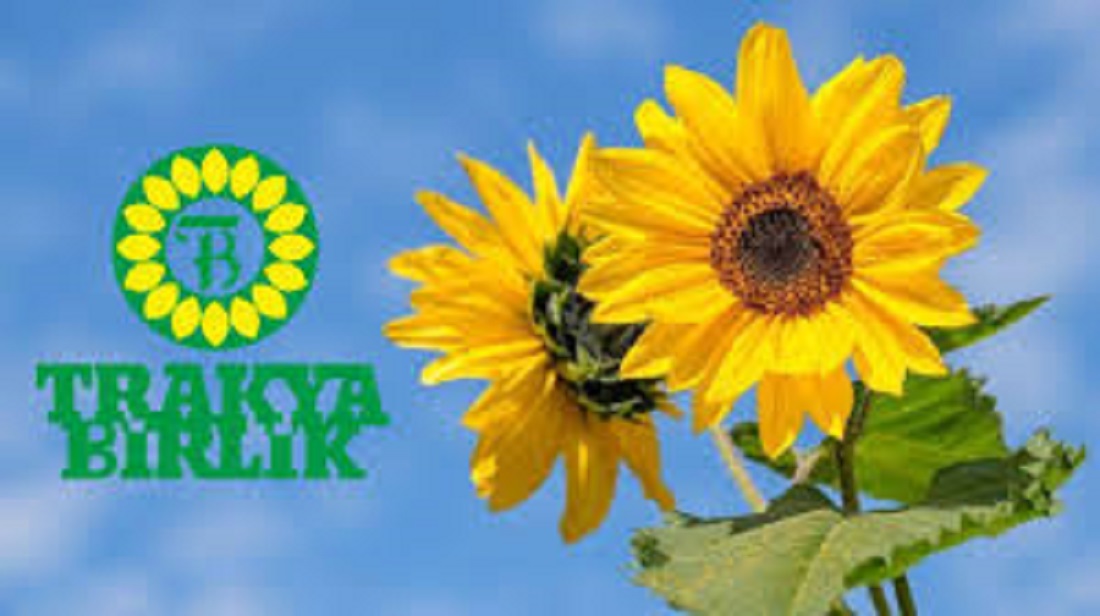 Trakya Birlik, Ayçiçeği Ön Alım Fiyatını Açıkladı