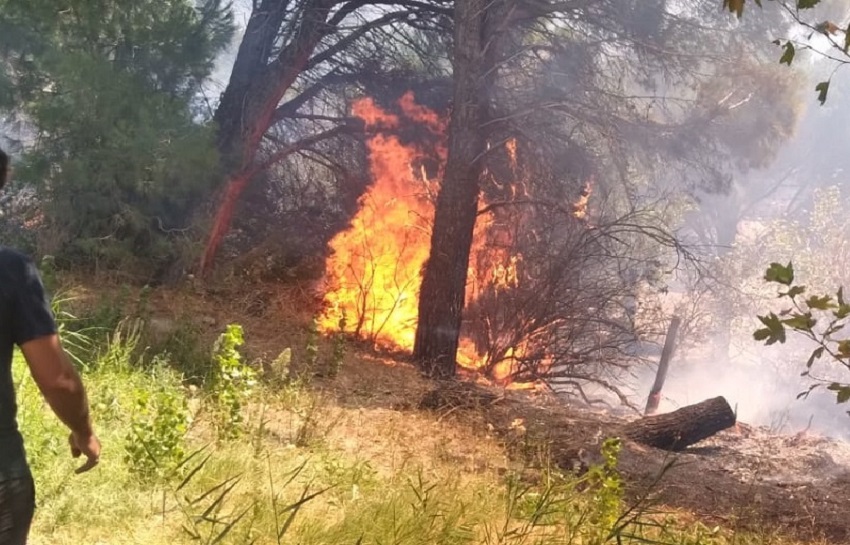 Erdek’te Çıkan Orman Yangını Kontrol Altına Alındı