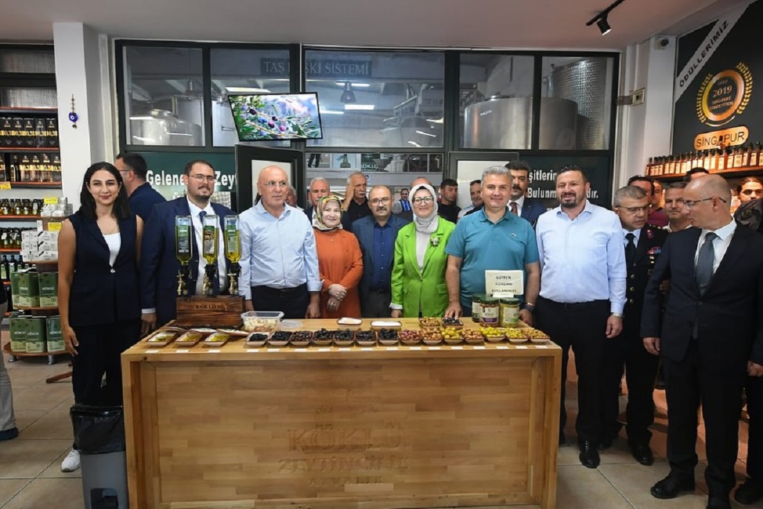 Balıkesir’de Zeytin Hasadı Başladı