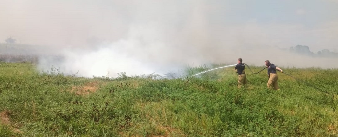 Manyas’ta Sazlık ve Otluk Alanda Çıkan Yangın Söndürüldü