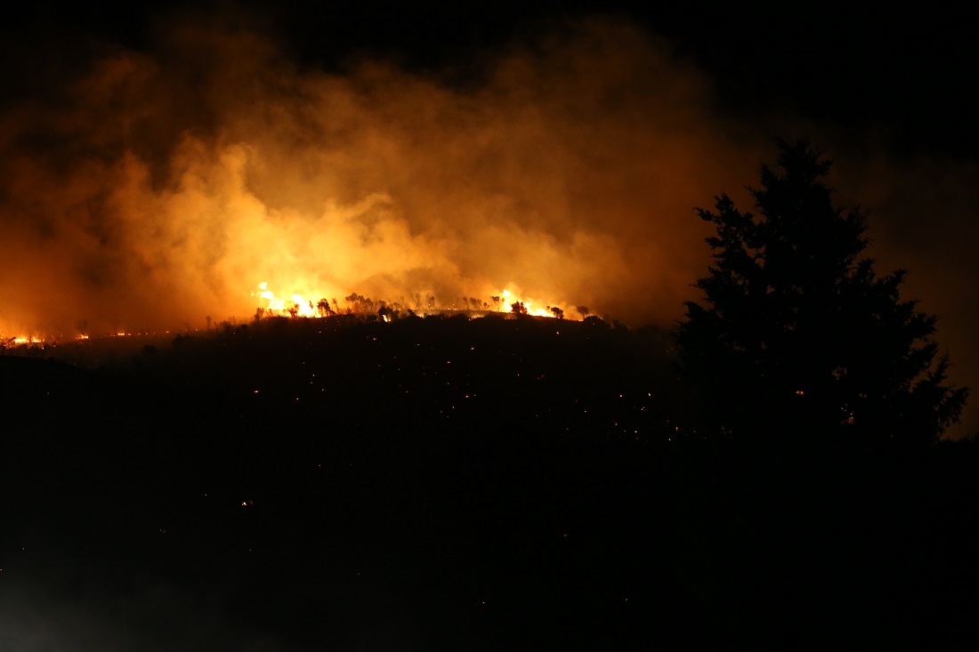 Karacabey’de Çıkan Orman Yangınına Müdahale Ediliyor