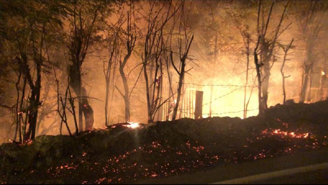 Erdek’te Yol Kenarındaki Ağaçlar Yandı