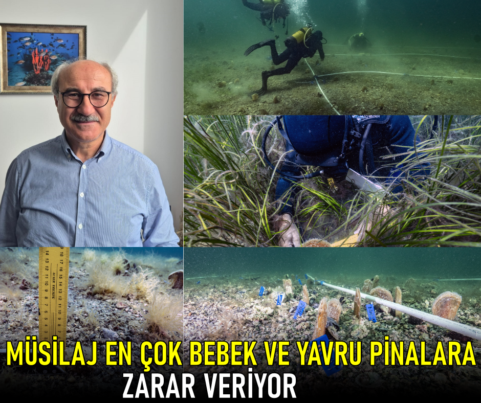 PİNA-İZ’in İlk Bebeği Marmara’ya “Umut” Oldu